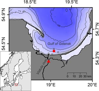 Stable Isotope Mixing Models Are Biased by the Choice of Sample Preservation and Pre-treatment: Implications for Studies of Aquatic Food Webs